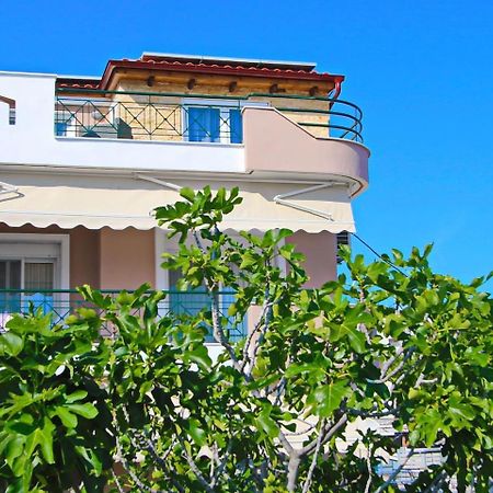Coral Suite PalaiónTsiflíkion エクステリア 写真